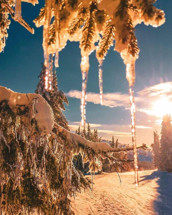 Sans Lux Apartman N42 Milmari Kopaonik Exteriör bild