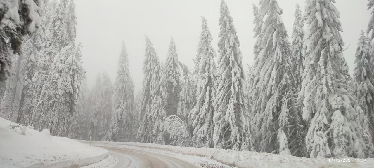 Sans Lux Apartman N42 Milmari Kopaonik Exteriör bild