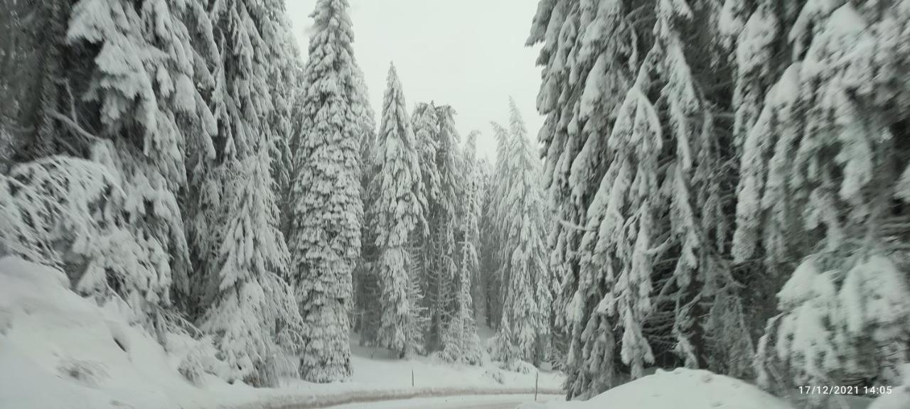 Sans Lux Apartman N42 Milmari Kopaonik Exteriör bild